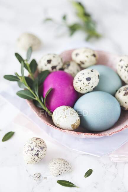 Huevos de codorniz y huevos de Pascua coloreados en un bol - foto de stock