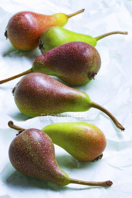 Several pears on white paper — Stock Photo