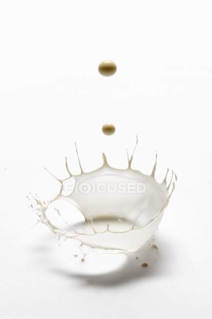 Una spruzzata di latte su fondo bianco — Foto stock