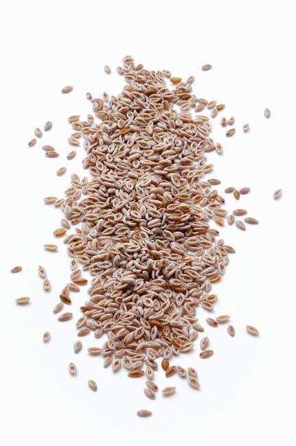 Un mucchio di psillio (seme di pulce) — Foto stock