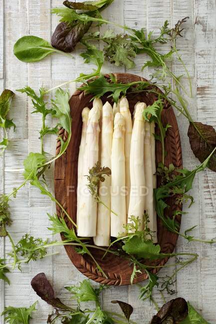 White asparagus and fresh herbs — Stock Photo