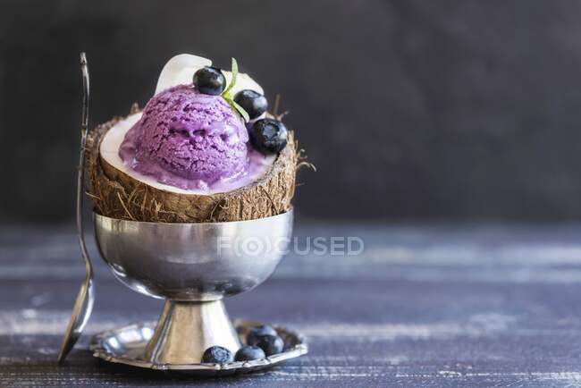 Crème glacée maison aux myrtilles dans une coque de noix de coco — Photo de stock