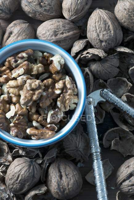 Органические грецкие орехи, орехи и ореховая скорлупа — стоковое фото