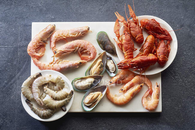 Surtido de diversos mariscos crudos: camarones, mejillones kiwi, calamares y cangrejos - foto de stock
