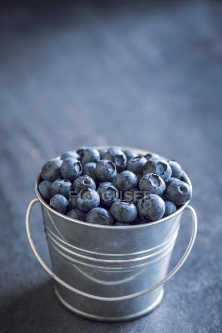 A small metal bucket of freshly picked blueberries — Stock Photo