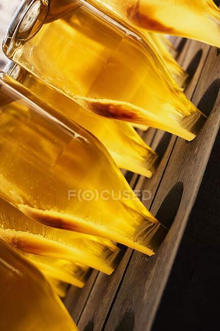 Sparkling wine bottles on a remuage rack — Stock Photo