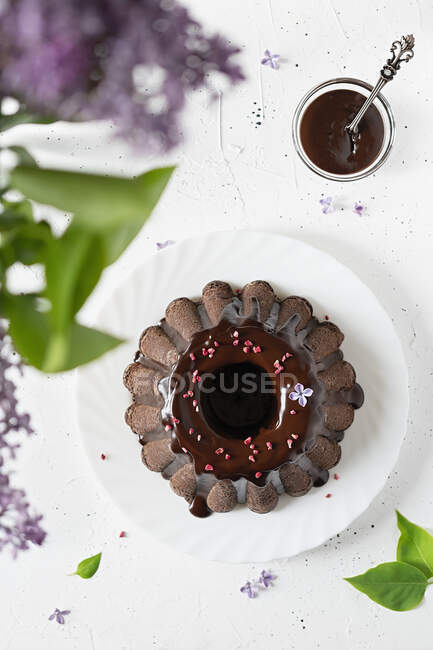 Homemade chocolate glazed cake — Stock Photo