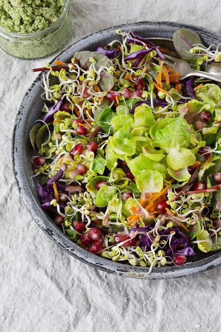 Salada de couve-de-bruxelas com sementes de romã, rebentos de lentilha, tiras de cenoura e tiras de repolho vermelho — Fotografia de Stock