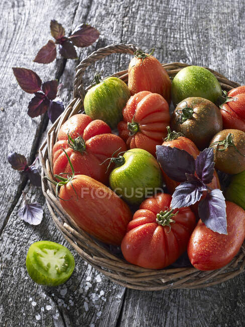 Verschiedene Tomaten mit Basilikum im Weidenkorb — Stockfoto