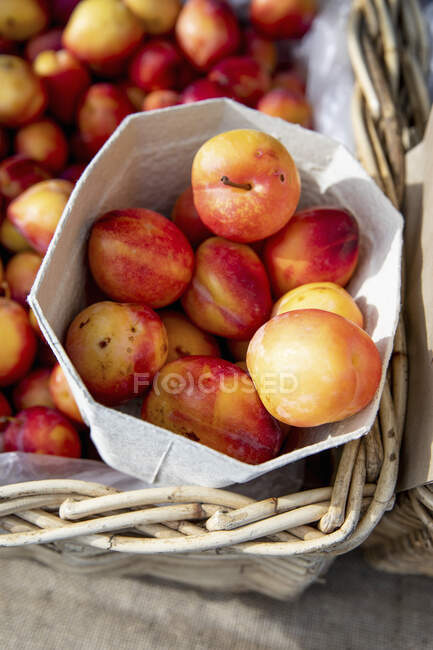 Yellow plums in a cardboard punnet — Stock Photo