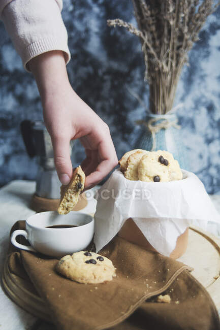 Close-up de deliciosos biscoitos de baunilha com gotas de chocolate — Fotografia de Stock