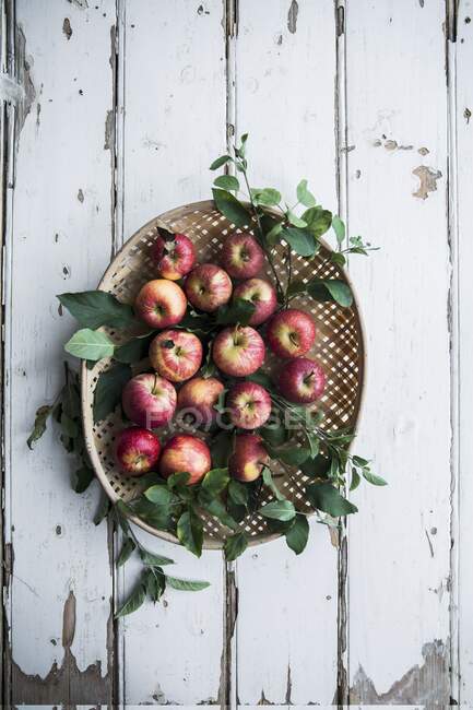 Several organic apples with leaves in a basket — Stock Photo