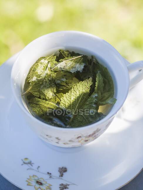 A cup of melissa tea on a table outdoors — Stock Photo