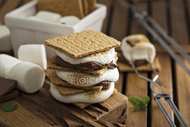 Picnic desserts, cookies sandwiches with marshmallows, graham crackers and chocolate — Stock Photo