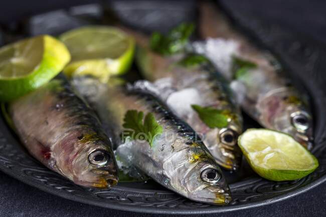 Fresh sardines with slices of lime on a metal plate (close-up) — Stock Photo