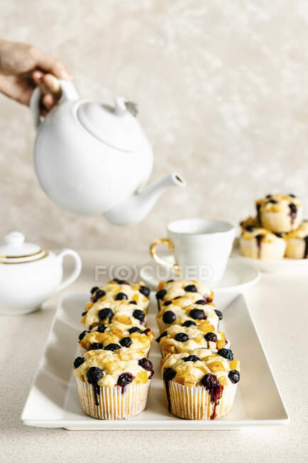 Frischkäse-Muffins mit Blaubeeren und Orangeat — Stockfoto