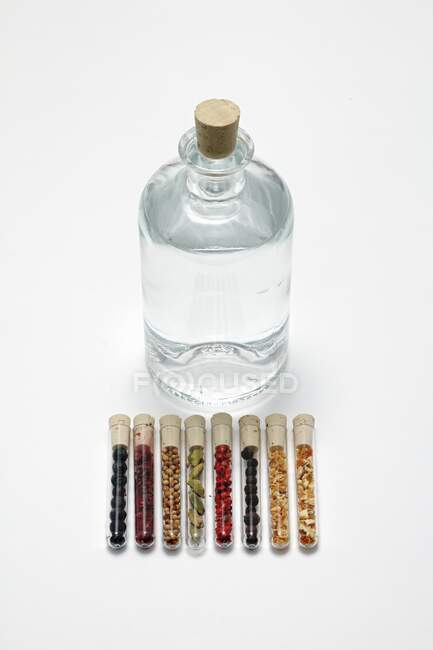 Gin in a bottle with various flavourings in test tubes — Stock Photo