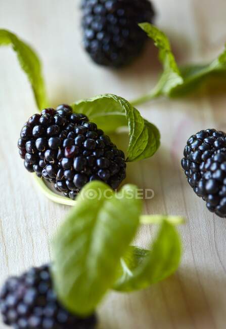 Fresh mulberries and mint leaves — Stock Photo