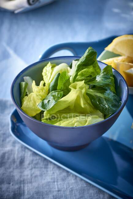 Green lettuce in a bowl — Stock Photo