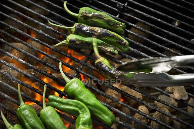 Pimentos de pimenta verde em uma grelha — Fotografia de Stock