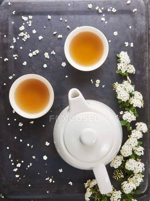 Чашки чая, чайник и белые цветы — стоковое фото