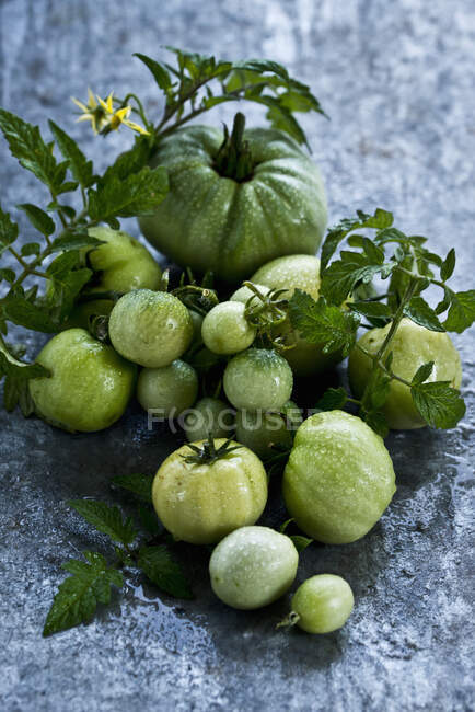 Tomates vertes fraîches sur fond de bois — Photo de stock