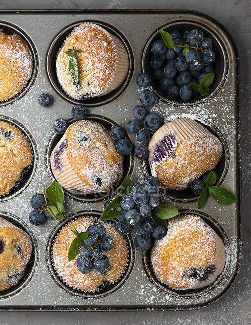 Muffins com mirtilos em uma bandeja de muffin — Fotografia de Stock