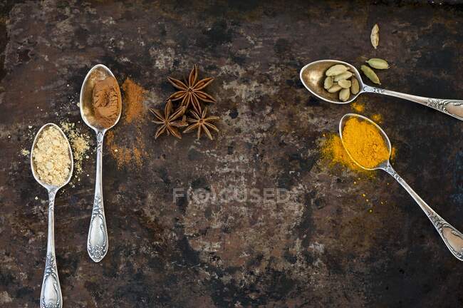 Turmeric, cardamon, anise, ginger and cinnamon in small spoons — Stock Photo
