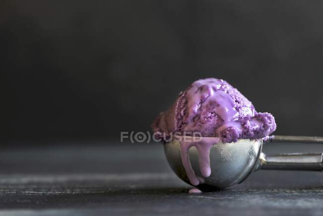 A scoop of blueberry ice cream in an ice cream scoop — Stock Photo
