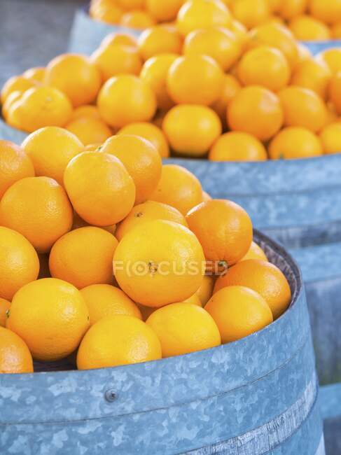 Portuguese oranges in barrels — Stock Photo