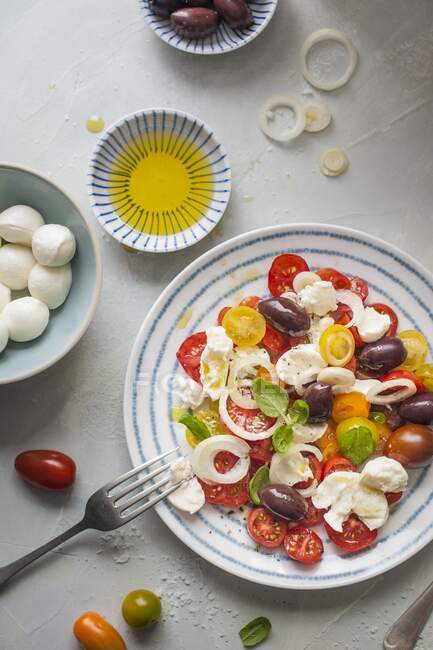Mozzarella і томатний салат з оливками, цибулею, базилем і оливковою олією. — стокове фото