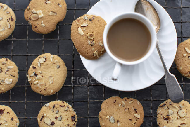 Hazelnut biscuits and coffee — Stock Photo