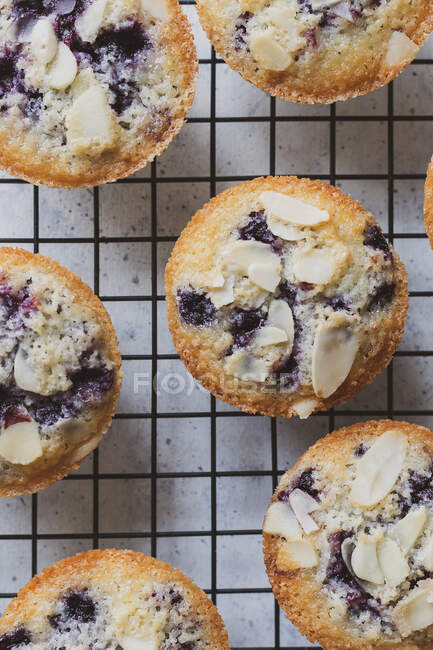 Muffin fatti in casa con frutta fresca e bacche — Foto stock