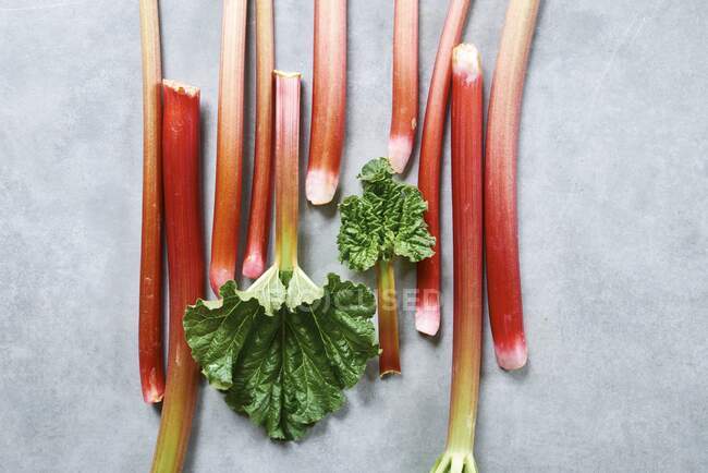 Fresh rhubarb close-up view — Stock Photo