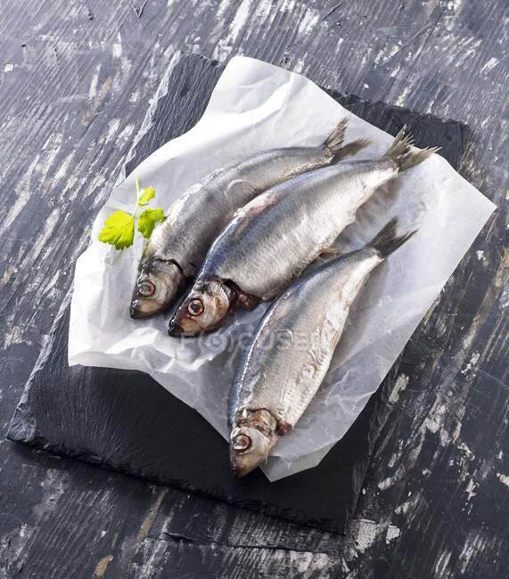 Three fresh herrings on paper with parsley — Stock Photo