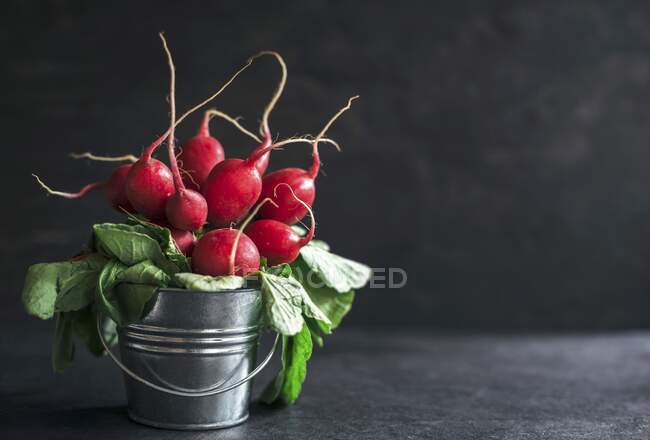 Radishes in a small metal bucket on dark background — Stock Photo