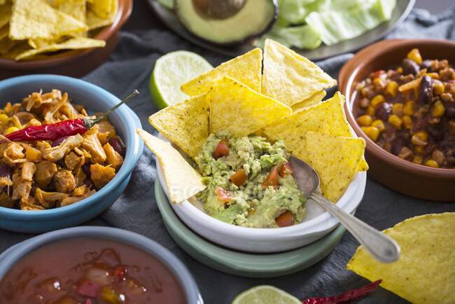 Vegane mexikanische Gerichte: Guacamole mit Tortilla-Chips, Salsa, gezogene Jackfrucht, Chili sin carne — Stockfoto