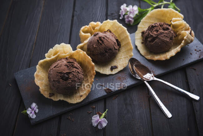 Veganes Schokoladeneis mit Schokoladenstücken in Waffelschalen — Stockfoto