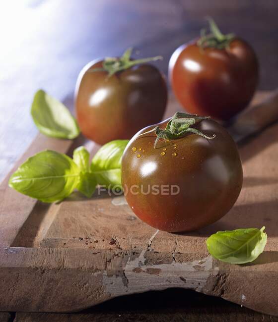 Tomates Kumato en una tabla de madera con albahaca - foto de stock