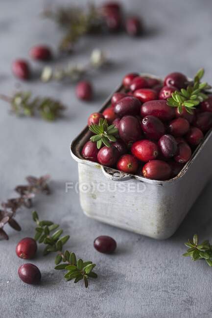 Cranberry in a metal container — Stock Photo