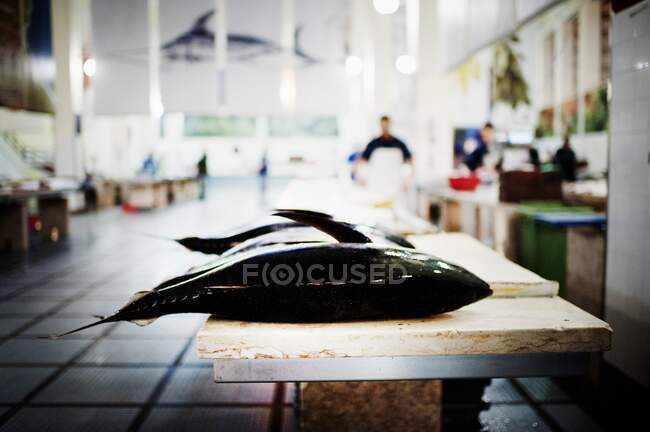 Poisson de thon frais sur le marché aux poissons (Funchal, Madère) — Photo de stock