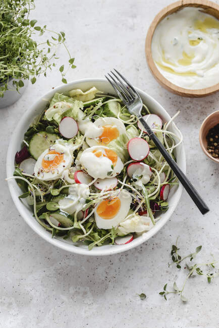Salat mit Gurken, Radieschensprossen, Eiern und Joghurtsoße — Stockfoto