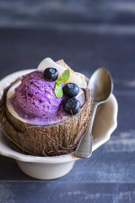 Домашнее черничное мороженое в кокосовой скорлупе — стоковое фото