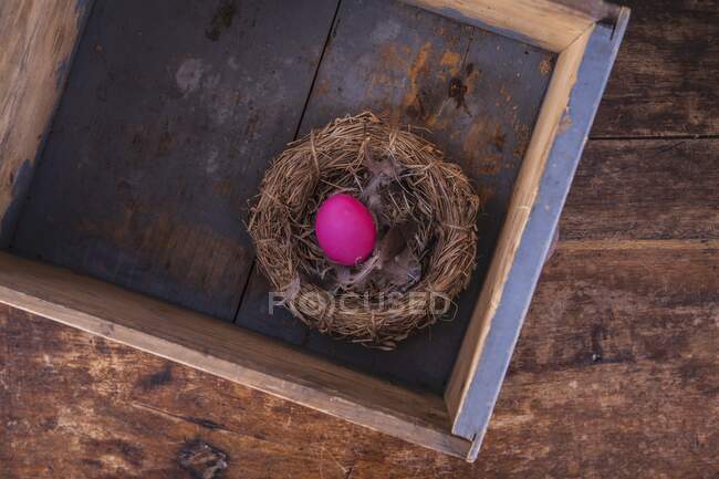 Un œuf de Pâques rose dans un nid — Photo de stock