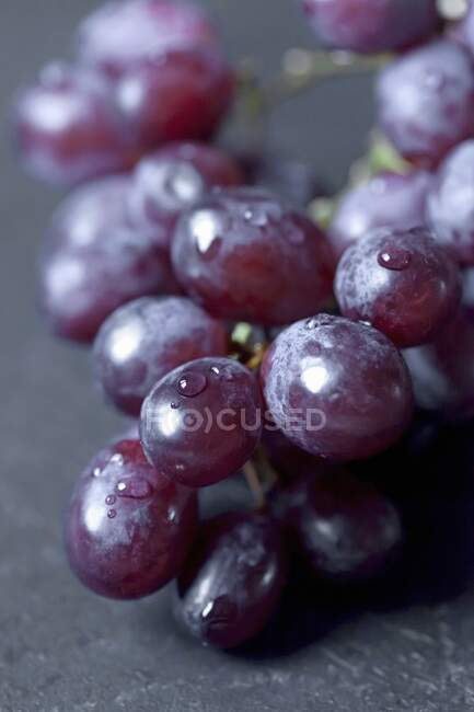 Raisins rouges avec gouttes d'eau, gros plan — Photo de stock