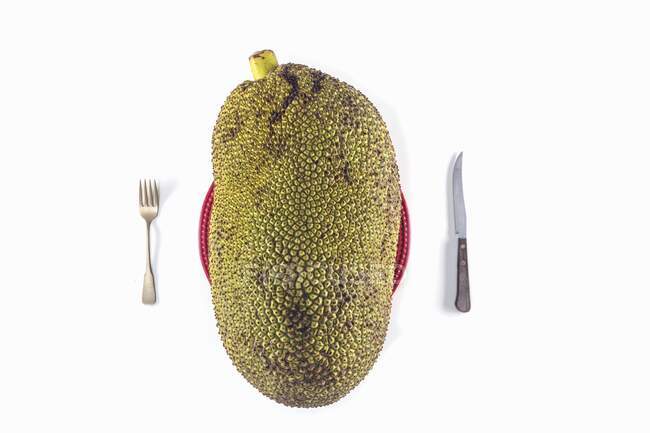 A large jack fruit on a plate with cutlery against a white background (top view) — Stock Photo