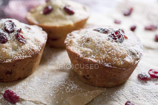 Freshly baked cranberry muffins on parchment paper with sugar icing — Stock Photo