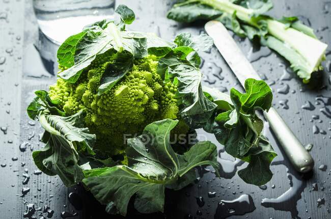 Romanesco with water droplets and a knife — Stock Photo