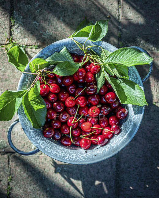Cherries in a metal sieve — Stock Photo