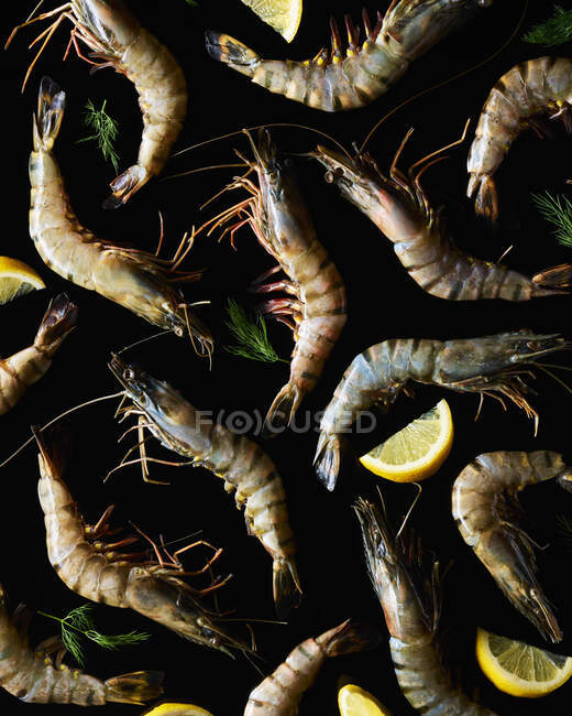 Frutos do mar camarões grelhados com limão e alho sobre fundo preto — Fotografia de Stock